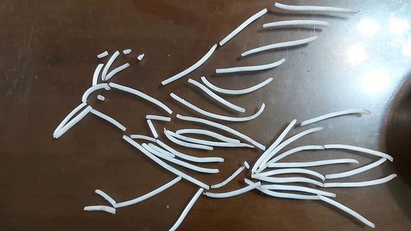 用豆芽菜「做鳥」！網驚呆：是小當家