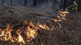 ▲1月20日開打的澳網不會因為澳洲野火延期。（圖／美聯社／達志影像）