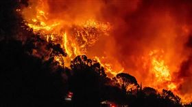 名家專用／草根影響力新視野（勿用）