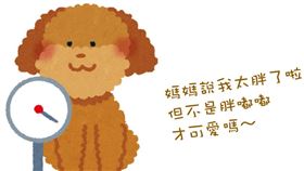 名家專用／毛起來MAOUP（勿用）