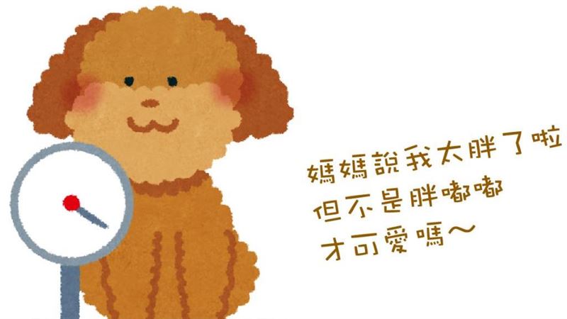 【汪喵餵養知識】狗狗過重怎麼辦？