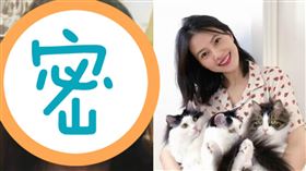 高圓圓。（圖／翻攝自鳳凰網娛樂微博）