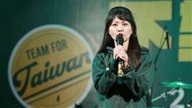 民進黨舉辦下架吳斯懷造勢晚會。（高嘉瑜）（圖/記者林士傑攝影）