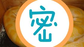 黃金蟒,宅配,動保法,虐待,蟒蛇