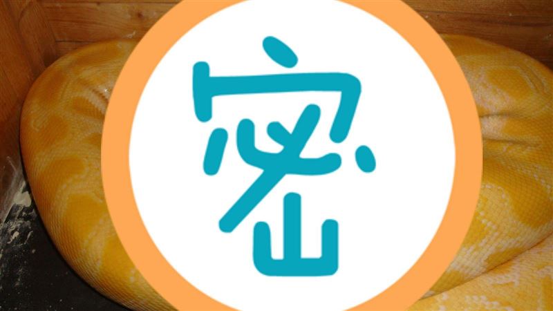 宅配驚見黃黃一坨　飼主寄活體恐觸法