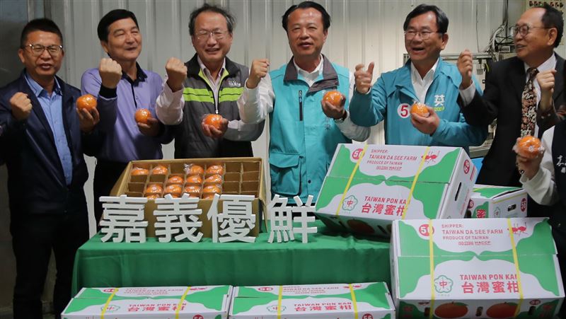 今年首批柑橘外銷　封櫃啟航進軍香港