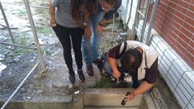 台南出現今年首例境外移入登革熱台南市政府衛生局9日宣布確診台南市今年首例境外移入登革熱病例，感染者住在下營區，衛生局已展開病媒蚊孳生源清除。（台南市衛生局提供）中央社記者張榮祥台南傳真　109年1月9日