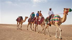 ▲杜拜中東風情（圖／杜拜旅遊局提供）