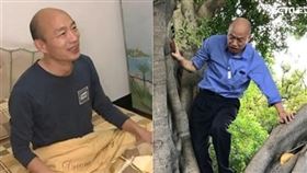 韓國瑜睡覺爬樹