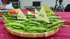 消基會抽檢市售豆菜類　逾5成農藥殘留