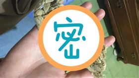 小被被,被被,童年,垃圾,抹布(圖/翻攝自報廢二館)