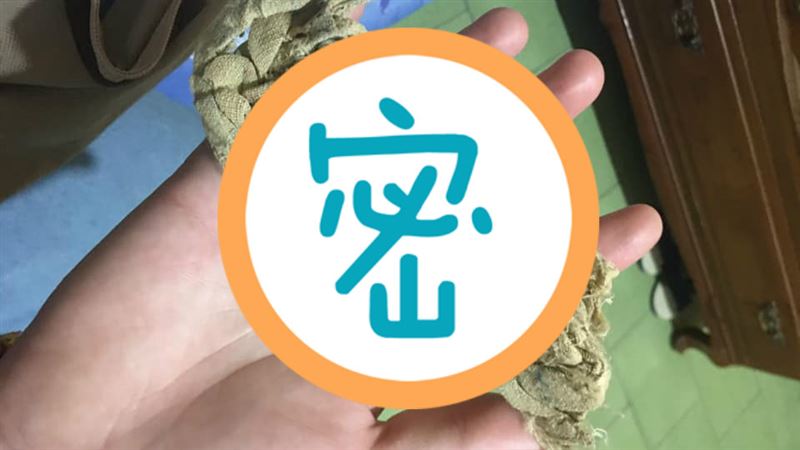 小被被慘變「蜥蜴乾」　網友一看驚呆
