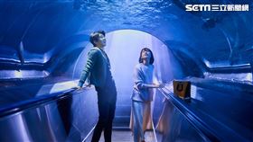 ▲（圖／甲上娛樂提供）你的情歌