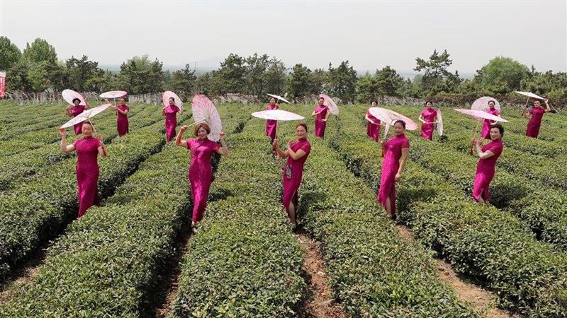 江蘇稱全省僅17人未脫貧　網友酸爆