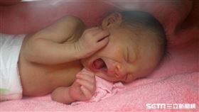 打哈欠（陳弋攝影）