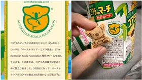 小熊餅乾,無尾熊,澳洲無尾熊基金會,日本樂天株式會社,澳洲/翻攝推特