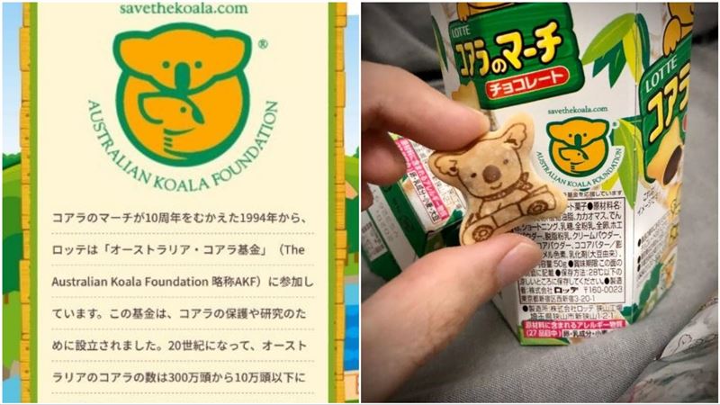 澳洲大火…網號召買「餅乾」救無尾熊