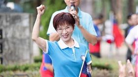 洪秀柱。（圖／翻攝自洪秀柱臉書）