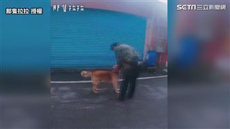 誤以為迷路汪　幫找回家路結果神反轉