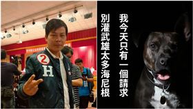 台中立委／林佳新發敗選感言！網幫「愛犬求情」：別灌牠酒（圖／翻攝自林佳新、只是堵藍臉書）