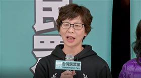 民眾黨準立委蔡壁如。（圖／資料畫面）