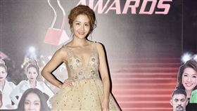 鯰魚哥、李宣榕、大元、謝祖武、梁舒涵、劉書宏盛裝出席亞洲電視大獎（圖／TVBS提供）