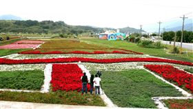 ▲花東花海（圖／記者唐家興攝影）