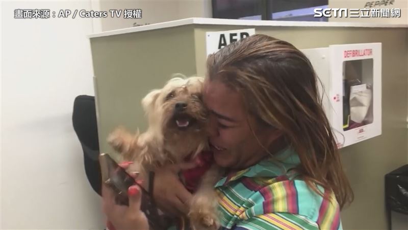 狗狗走失三年　與主人重逢畫面超暖心