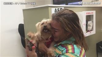 狗狗走失三年　與主人重逢畫面超暖心