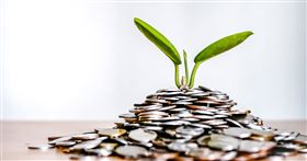 名家／MONEY錢（勿用）