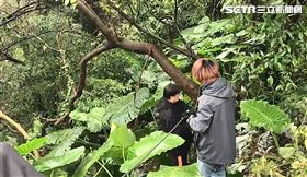 兇刀,紙錢,分屍,台北,翻攝畫面