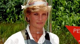 哈利王子,梅根,黛安娜王妃　IG