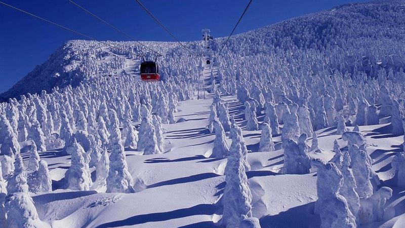 日本賞雪景　泡名湯啖美饌