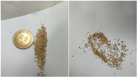 白芝麻,白蟻,大便,屎(圖/翻攝自爆廢公社公開版