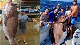 石斑,美國,海域,釣竿,漁夫,釣魚,巨型,背鰭,研究,年齡,魚, 圖／翻攝推特