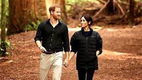哈利王子,梅根 sussexroyal IG