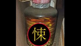殺蛇,藥酒,蛇酒,壯陽,偏方,30蛇酒,價值,能喝,新竹大小事