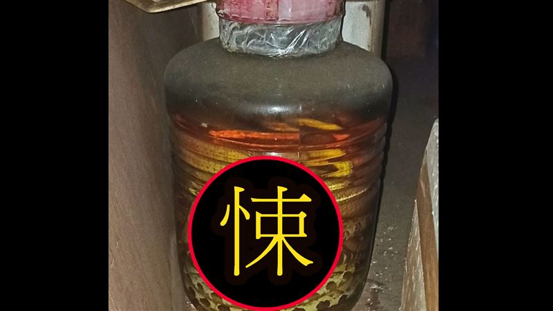 挖到30年蛇酒：能喝？　行家曝價值