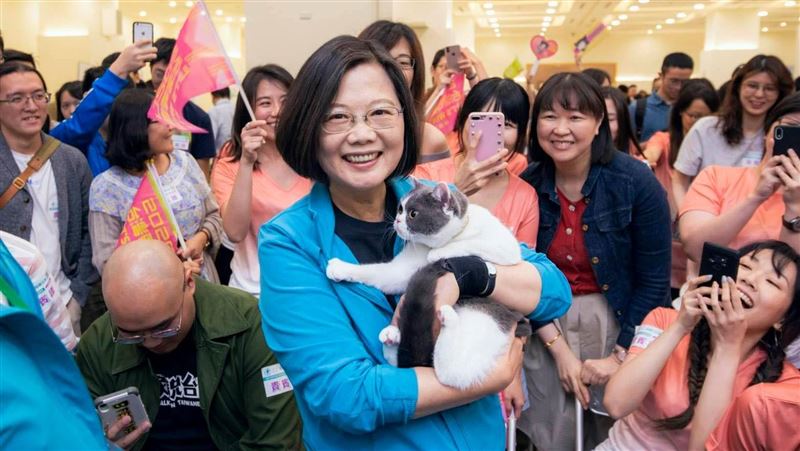 辣台妹不夠看？澳媒封蔡：鋼鐵貓夫人
