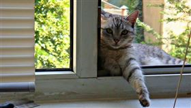 名家專用／毛起來MAOUP（勿用）