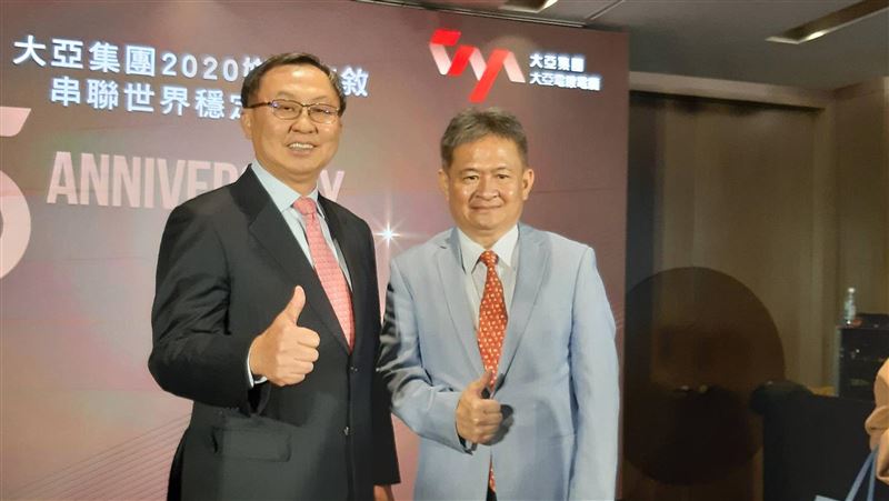大亞攻綠能　砸重金造地面太陽能電廠
