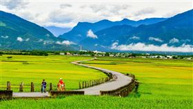 國慶連假遊客湧台東　伯朗大道受歡迎台東縣政府統計，10日至13日國慶連假期間，縣內旅遊約35萬人次，最受歡迎景點前3名分別為小野柳、伯朗大道（圖）、三仙台。（台東縣政府提供）中央社記者李先鳳傳真　108年10月14日