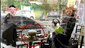 卡式爐搬進超商！厚臉皮客開「火鍋趴」…網看傻：來露營嗎（圖／翻攝自爆怨公社）