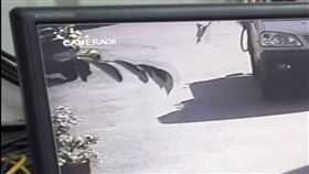 陌生人,大掃除,過年,家長,兄妹,強拉　圖／翻攝爆廢公社公開版