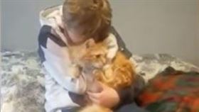 感人重逢！見失蹤愛貓呆愣張嘴　男孩下秒飛奔「緊抱淚崩」　（圖／翻攝自YouTube）