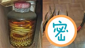 殺蛇店,租屋,蛇酒,蛇頭酒,鹿角,鹿腳,賺翻,行家,新竹大小事,中藥