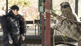 超人氣動物園 劇照