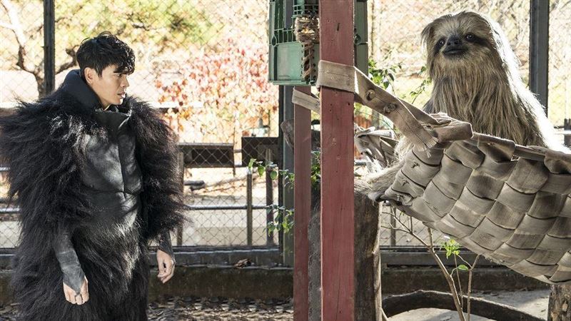 動物園驚見超大隻樹懶！