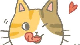 名家專用／毛起來MAOUP（勿用）