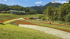 古亭、成美右岸河濱公園、內湖大溝溪生態治水園區，以及觀山河濱公園賞花　圖／台北市政府提供